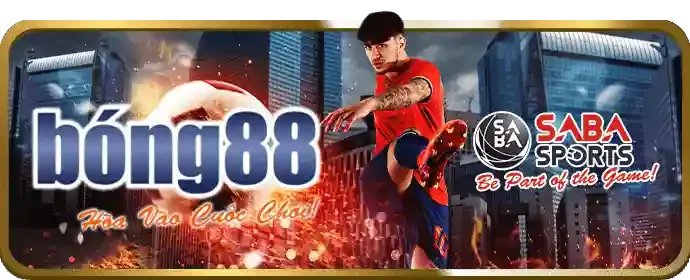 Đá Gà W9BET kịch tính từng trận
